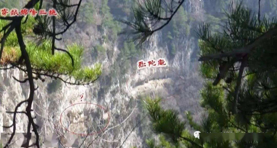 如何看懂宫颈液基细胞学检查(TCT)报告
